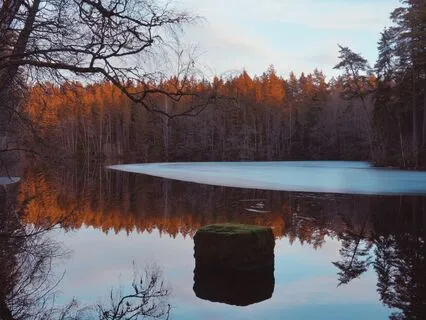 Prayer For Forgiveness: Letting Go And Finding Peace