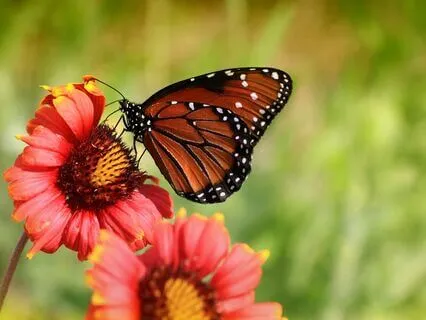 Prayer For Healing Lower Back Pain