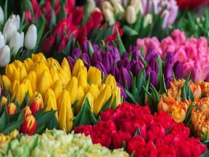 Prayer For Love To The Universe