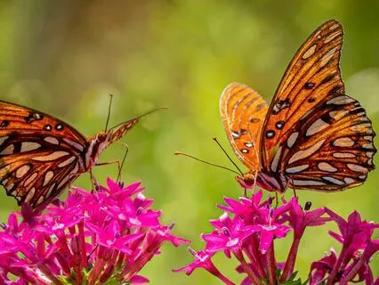 Prayer For Loving Kindness