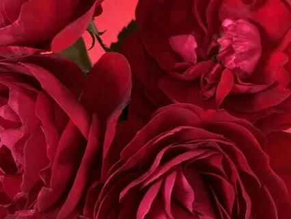 Prayer For Magnetic Love