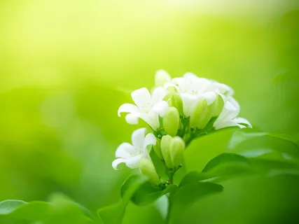 Prayer For My Daughters