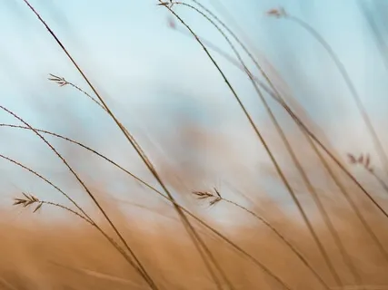 Prayer For Overwhelm