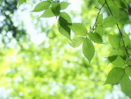 Short Prayer: Peace In Difficult Times