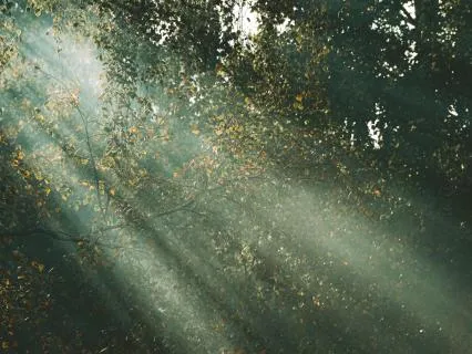 Prayer For Physical Protection
