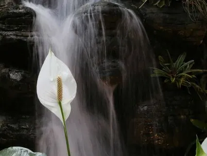 Prayer For Prosperity