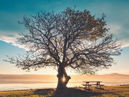 Prayer For Prosperity