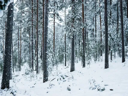 Prayer For Resolving The Fear Of A Foe