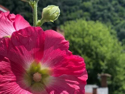 Prayer For Spiritual Healing