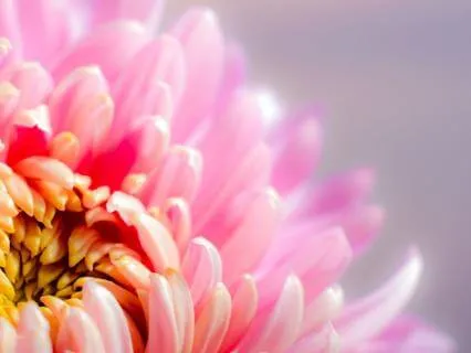 Prayer For Strength And Healing: Restore Hope & Renew Energy