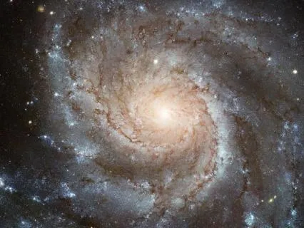 Prayer For The Overwhelmed Mother