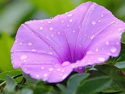 Prayer For The Settling Of The Night: An Evening Devotion