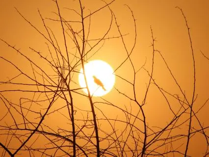 Prayer For Those In Pain