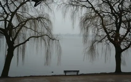 Prayer In The Midst Of The Opioid Crisis