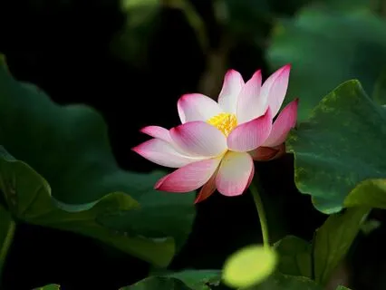 Prayer Keepers - The Massage & Reiki Journey Collection