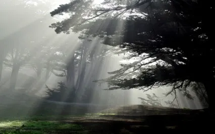 Prayer Of Love, Peace & Light (Express Version)