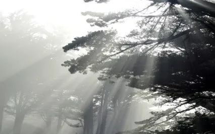 Prayer Of Peace, Love & Light (Full Version)