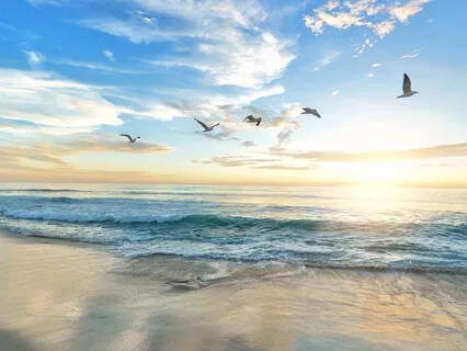 Prayer Of Saint Francis