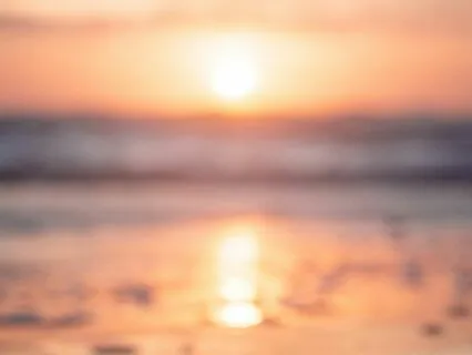 Prayer Of St. Francis (Adapted)