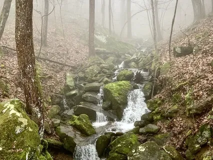 Prayer Of St. Francis Meditation