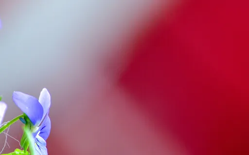 Prayer - Spirit is eternally rising in, as, and through you