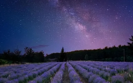 Prayer Time - Heavenly Music