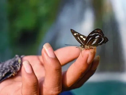 Prayer To Be Guided Through Changes For The Highest Good