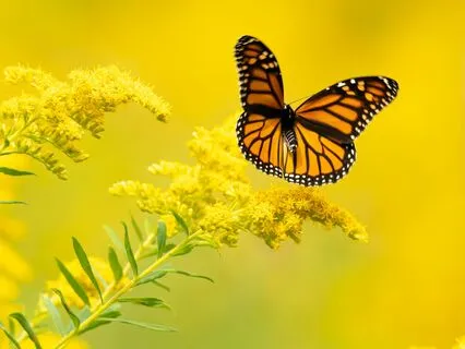 Prayer To Be Supported And Guided In Every Moment