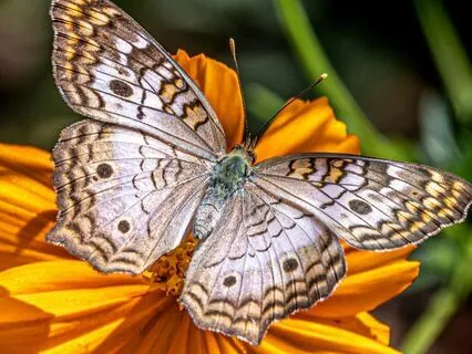 Prayer To Manifest Your Dream Job