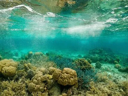 Prayer To Manifest Your Dream Life