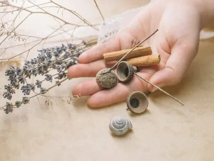 Prayer To My Spirit Guides - Without Music - Healing