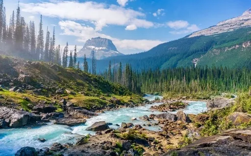 Prayer To The Elements: For Wisdom & Insight