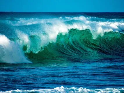 Prayer To The Sea: Anxiety Relief - Harp & Whale Song