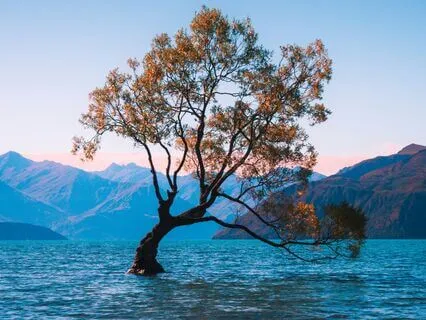 Prayer To The Universe For Miracles