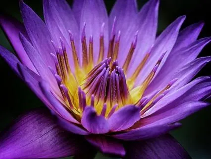 Sacred Sexuality Practice