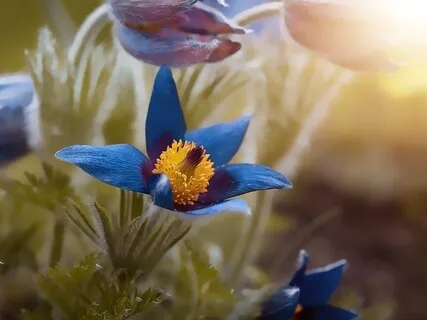 Prayers Of The People