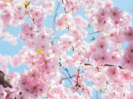 Praying From The Clay