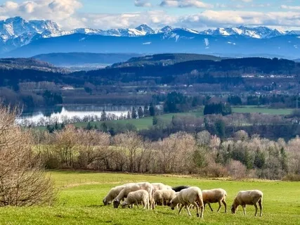 Praying Psalm 23 (The Lord Is My Shepherd)