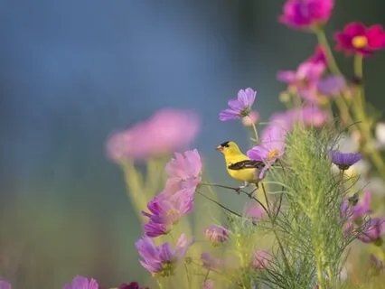 Praying The Scriptures Back To God 