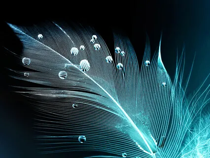 Pre-Meditation: Ultra Slow, Mindful Movements