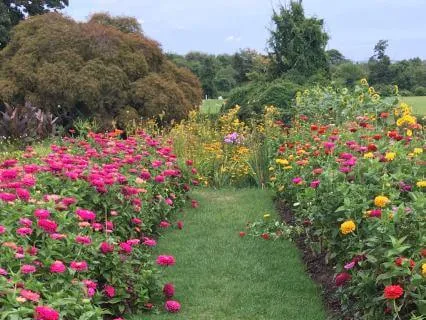 Pre-Paving For Prosperity With Florence Scovel Shinn