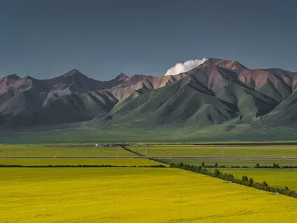 Pre/Post-Election Stress Relief With Yoga Nidra