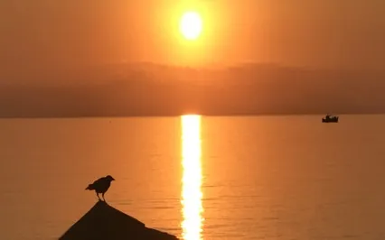 Pre Sleep Meditation - Relax Before Dropping Off To Sleep