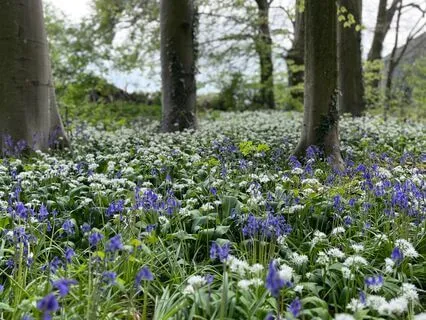 Pre Workout Meditation For Focus