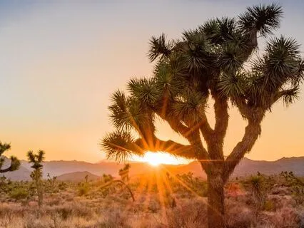 Beta Frequencies For Motivation