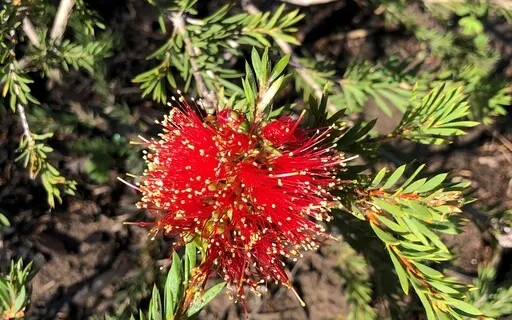 Pregnancy And Motherhood Focus