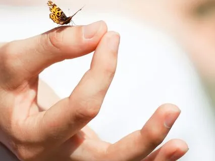 The Butterfly Sleep Method: A Journey To Deep Relaxation