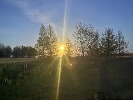 Prenatal Grounding Meditation For Calm & Connection