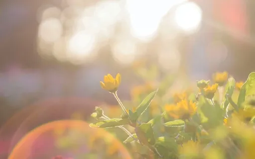 Prenatal Meditation - Positive Affirmation