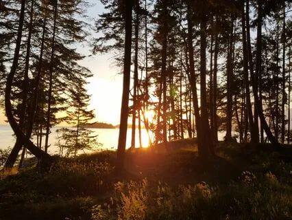 Prepare For Sleep With A Full Body Guided Relaxation